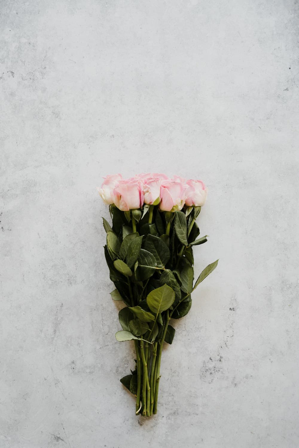 Blush Notes